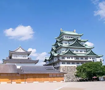 从新特丽亚（中部国际机场）前来